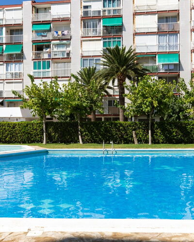 Beach la Pineda: Verde, Hoja, Planta, Árbol, Biome, Hierba, Ocio, Plantas Leñosas, Diseño Urbano, Tintes Y Sombras