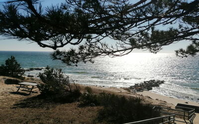 Yari - 50M from the Sea
