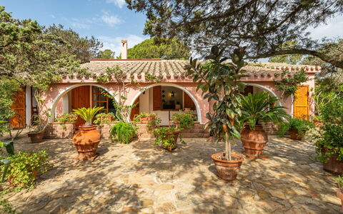 Atzeni: Planta, Propiedad, Cielo, Edificio, Árbol, El Terreno Del Lote, Nube, Arecales, Casa, Paisaje