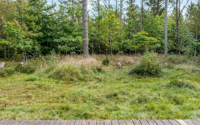 Reinfried - 250M from the Sea