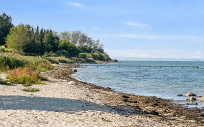 Todor - 150M from the Sea