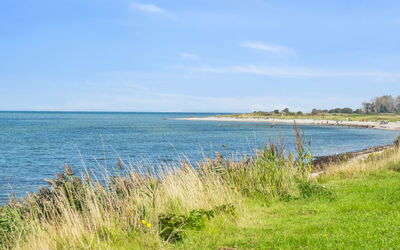 Todor - 150M from the Sea