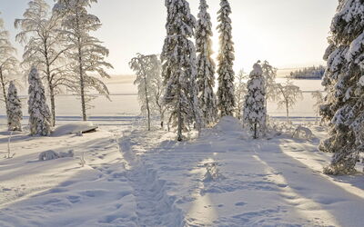 Villa Q - Kuusamo, Ostrobotnia del Norte, Finlandia