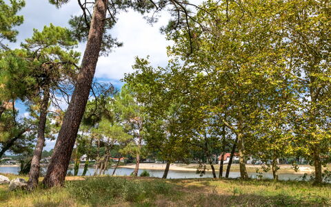 Mimizan 406: Planta, Cielo, Nube, Árbol, Paisaje Natural, El Maletero, Ramita, Hierba, Tintes Y Sombras, Sombra