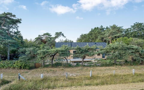Kaila - 50M from the Sea: Árbol, Arbusto, El Terreno Del Lote, Planta De La Comunidad, Casa, Área Rural, Cabaña, Jardín, Casa De Campo