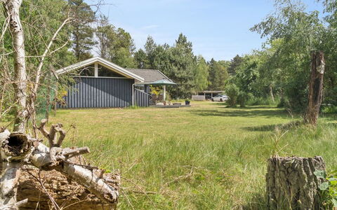 Tyyne - 250M from the Sea: Hierba, Árbol, Casa, Cabaña, Arbusto, Casa, El Terreno Del Lote, Área Rural, Paisaje