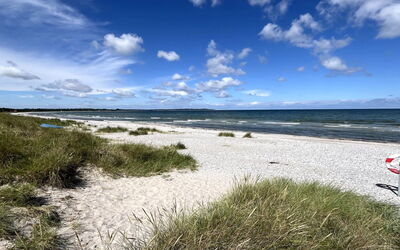 Galathea - 175M from the Sea