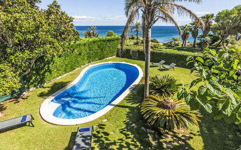 Luxury B: Agua, Planta, Cielo, Árbol, Azur, Paisaje Natural, Arecales, Piscina, Plantas Leñosas, Paisaje