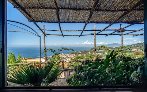 Villa Solaria with Private Pool: Cielo, Planta, Naturaleza, Sombra, Vegetación, Edificio, Rectángulo, Arecales, Madera, Hierba