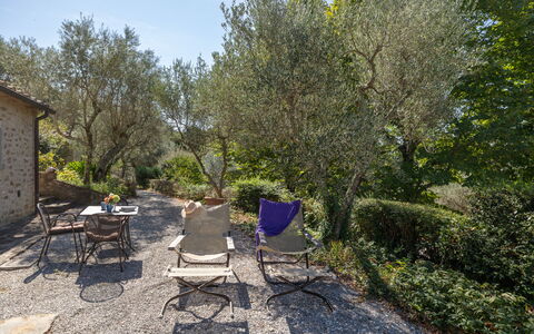 Villa Delle Rose: Planta, Planta De La Comunidad, Silla, Paisaje Natural, El Terreno Del Lote, Árbol, Hierba, Mesa, Sombra, Mueble Para Exteriores