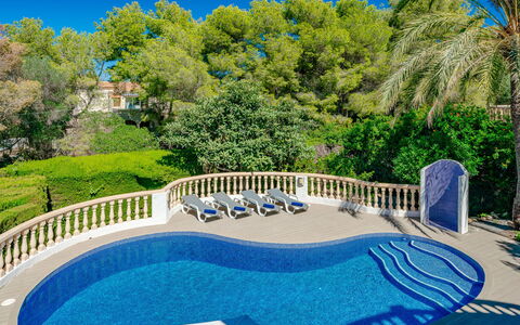 La Selva: Cielo, Planta, Agua, Propiedad, Árbol, Azur, Naturaleza, Azul, Piscina, Cerca