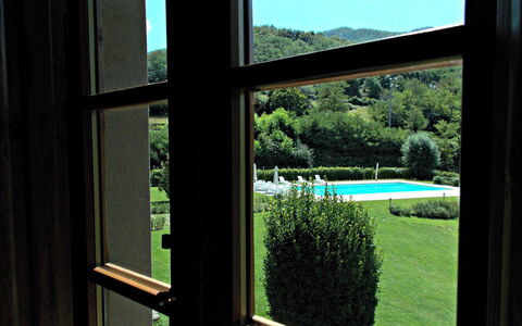 Residence Marino: Ventana, Árbol, Casa, Vaso, Casa, Diseño De Interiores, Tintes Y Sombras, Sombra, Hierba, Habitación