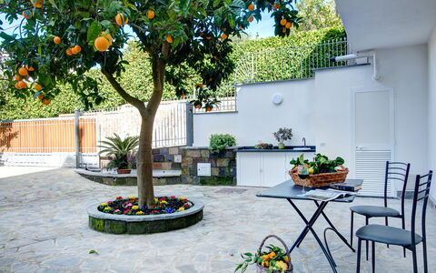 Clementine Country House: Planta, Flor, Mesa, Maceta, Planta De Casa, Árbol, Edificio