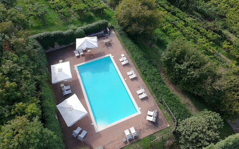 Il Vigneto, Verona, Pool, Wifi: Piscina, Recurso, Eco Hotel, Mueble Para Exteriores, Jardín, Hotel, Paisajismo, Villa, Hacienda, Plantación
