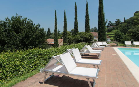 Il Vigneto, Verona, Pool, Wifi: Mueble Para Exteriores, Sunlounger, Piscina, Sombra, Jardín, Recurso, Paisajismo, Patio, Eco Hotel, Sillón