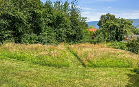Ågot - 350M from the Sea: Hierba, Verde, Hoja, Vegetación, Arbusto, Pradera, Planta De La Comunidad, El Terreno Del Lote, Cobertura Del Suelo