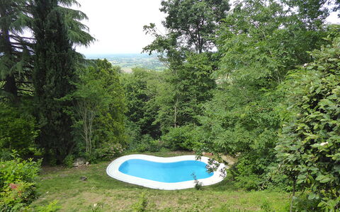 Casa Delle Eriche, Colli Euganei, Pool, Wifi: Jardín, Sombra, Césped, Patio Interior, Paisajismo, Piscina, Yarda, Bosque, Parque, Hojas Perennes