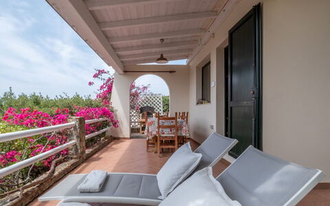 Del Mare Dipinto: Edificio, Planta, Mueble, Mesa, Silla, Ventana, Sombra, Árbol, Naranja, Mueble Para Exteriores