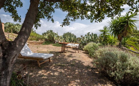 Del Mare Dipinto: Edificio, Planta, Mueble, Mesa, Silla, Ventana, Sombra, Árbol, Naranja, Mueble Para Exteriores