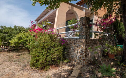 Del Mare Dipinto: Edificio, Planta, Mueble, Mesa, Silla, Ventana, Sombra, Árbol, Naranja, Mueble Para Exteriores