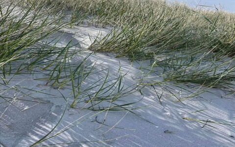 Frederikka - 1.9Km from the Sea: Blanco, Pendiente