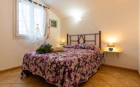 Alojamiento:&nbsp;Olive Lodge 637.3