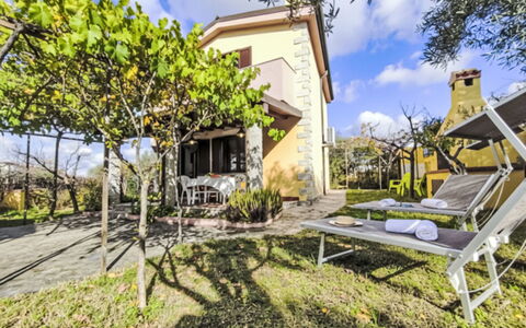 Remo: Barrio Residencial, Arbusto, Casa, Jardín, Inmuebles, Paisajismo, Suburbio, Cabaña, Sombra, Yarda