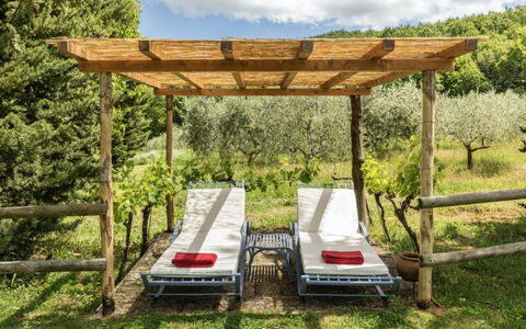 Podere Monti: Madera, Mueble, Mueble Para Exteriores, Jardín, Sombra, Madera Dura, Manchas De Madera, Estructura Al Aire Libre, Mesa Al Aire Libre, Patio Interior