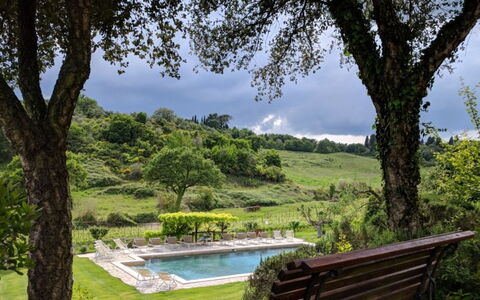 Podere della Bruciata: Árbol, Arbusto, Piscina, Jardín, Césped, Paisajismo, Eco Hotel, Patio Interior, Recurso