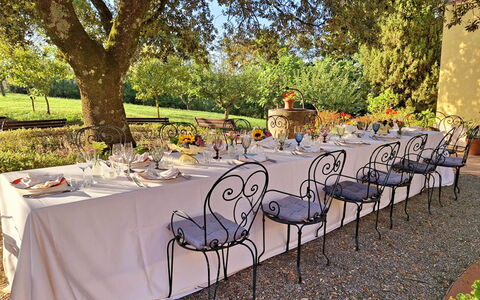 La Palazzina: Mueble, Mesa, Manteles, Silla, Mesa Al Aire Libre, Jardín, Mueble Para Exteriores, Linos, Restaurante