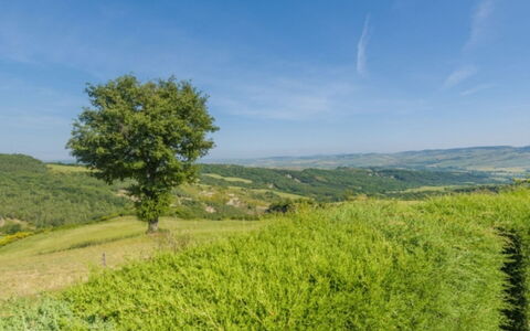 Podere del Mezzadro: Verde, Entorno Natural, Hierba, Naturaleza, Pradera, Paisaje Natural, Vegetación, Colina, Paisaje, Ecorregión