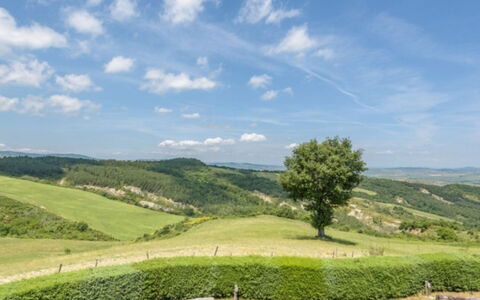 Podere del Mezzadro: Cielo, Verde, Hierba, Entorno Natural, Naturaleza, Pradera, Paisaje Natural, Colina, Vegetación
