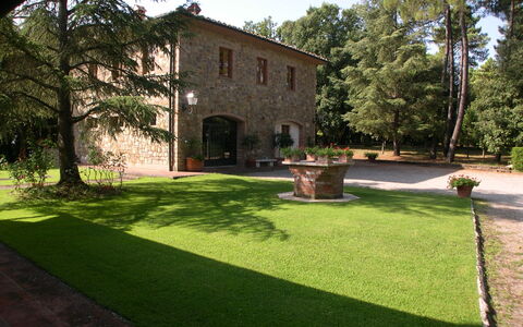 Villa Antonella: Arbusto, Jardín, Césped, Hacienda, Yarda, Sombra, Paisajismo, Patio Interior, Inmuebles, Entrada De Coches