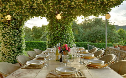 Villa Anima: Mueble, Mesa, Vajilla, Mesa Al Aire Libre, Jardín, Manteles, Silla, Mueble Para Exteriores, Restaurante, Cocina Y Comedor Mesa