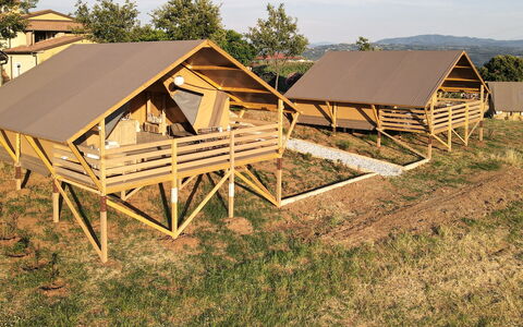 Alojamiento:&nbsp;Glampingtent Venere 500.21