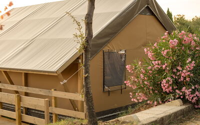 Alojamiento:&nbsp;Glampingtent Zeus 500.20