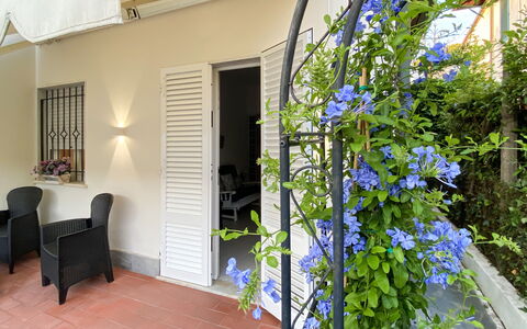Casa Liliana Ac, Wifi, Forte Dei Marmi: Maceta, Planta De Casa, Sombra, Mueble Para Exteriores, Silla, Inicio De La Puerta, Porche, Mesa Al Aire Libre, Balcón, Patio