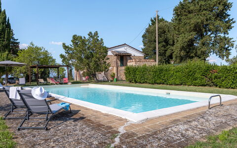 Il Pino Apartment: Piscina, Mueble Para Exteriores, Inmuebles, Patio Interior, Jardín, Hacienda, Sombra, Casa De Campo, Villa, Yarda