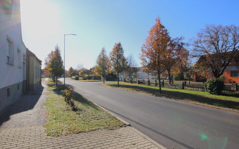Ysella: Árbol, Hoja, Superficie De La Carretera, Rama, La Carretera, Barrio Residencial, Asfalto, Calle, Espacio Publico, Acera