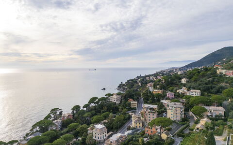 Casa Annalù With Garden, Wifi, Bogliasco: Árbol, Costa, Barrio Residencial, Mar, Costeras Y Los Accidentes Geográficos Oceánico, Horizonte, Paisaje, Oceano, Vista Panorámica, Fotografía Aérea