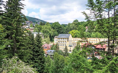 Švýcarský Dvůr Lodge: Árbol, Arbusto, Barrio Residencial, Paisaje, Casa, Alerce, Hill Station, Suburbio, Pueblo De Montaña
