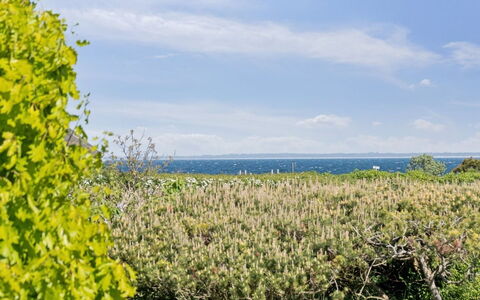 Sukie - 100M from the Sea: Vegetación, Arbusto, Primavera, Cabaña, Jardín, Sombra, Patio Interior, Yarda, Silla