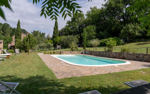 Montaione Country House Amarrante, Pool, Ac: Arbusto, Piscina, Jardín, Patio Interior, Sombra, Césped, Paisajismo, Inmuebles, Yarda, Casa De Campo