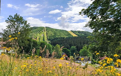 Harrachov 707