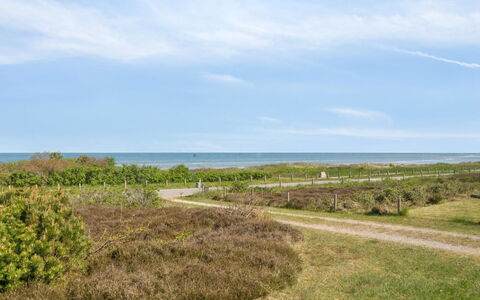 Suometar - 90M from the Sea: Hierba, Pradera, El Terreno Del Lote, Cabaña, Área Rural, Prado, Edificios Del Jardín, Jardín, Cobertizo