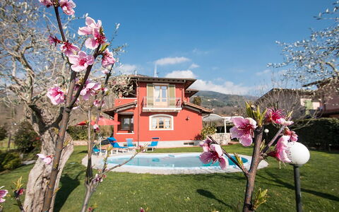 Villa Camaiore: Casa, Casa, Jardín, Césped, Inmuebles, Yarda, Paisajismo, Hacienda, Casa De Campo, Patio Interior