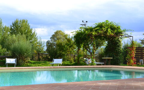 Appartamento Il Fienile Del Sole, Wifi, Perugia: Piscina, Mueble Para Exteriores, Recurso, Jardín, Sombra, Ocio, Eco Hotel, Paisajismo, Patio Interior