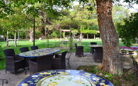 Appartamento Vele, Wifi, Near Perugia: Mueble, Mesa, Mueble Para Exteriores, Silla, Jardín, Mesa Al Aire Libre, Sombra, Césped, Primavera, Patio Interior