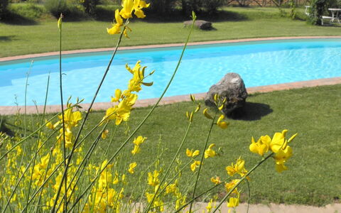 Appartamento La Vecchia Cedraia, Wifi, Perugia: Amarillo, Primavera, Jardín, Césped, Paisajismo, Yarda, Parque, Flor Silvestre, Jardín Botánico