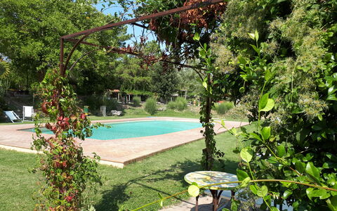 Appartamento Scuderia Del Borgo, Wifi, Perugia: Arbusto, Jardín, Sombra, Primavera, Patio Interior, Yarda, Césped, Paisajismo, Maceta
